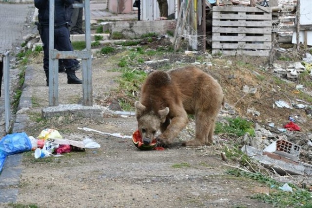 Gören telefonuna sarıldı! 15