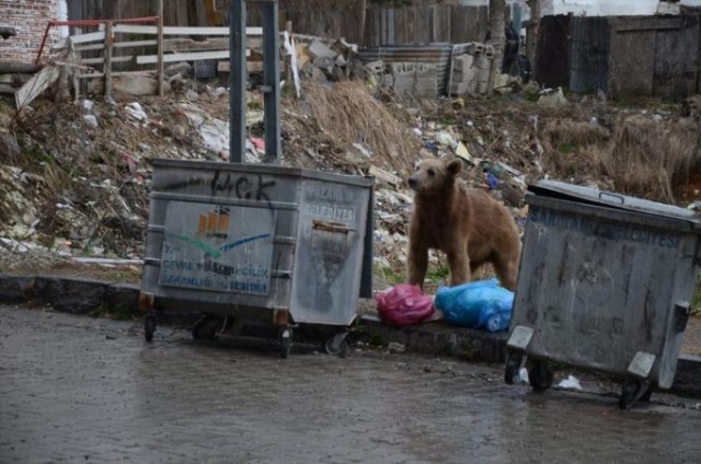 Gören telefonuna sarıldı! 12