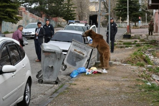 Gören telefonuna sarıldı! 11