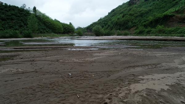 Sera Gölü bataklığa döndü 14