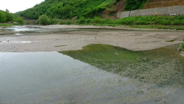 Sera Gölü bataklığa döndü 6