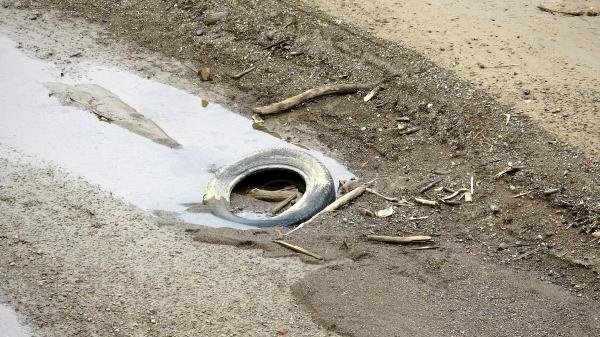 Sera Gölü bataklığa döndü 9