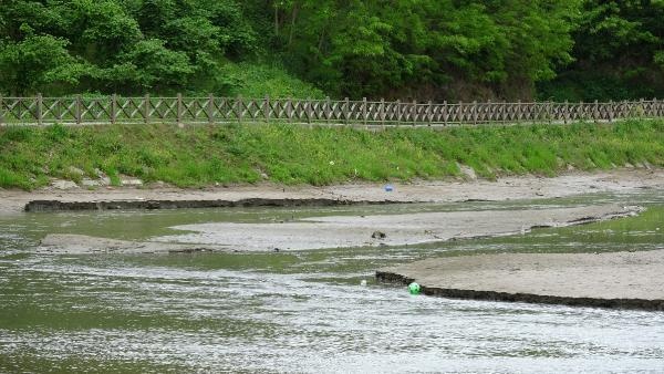 Sera Gölü bataklığa döndü 11
