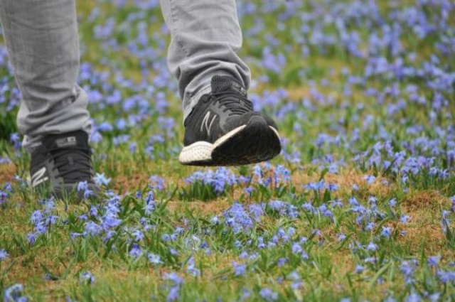 Kadıralak'ın son hali içler acısı 2