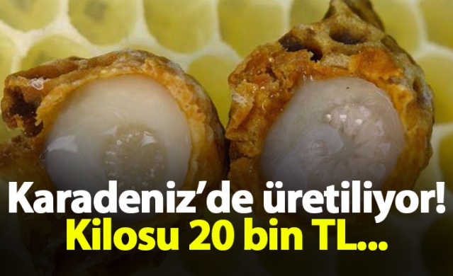 Karadeniz'de üretiliyor! Kilosu 20 bin TL 1
