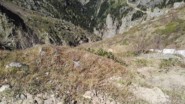 Kayıp gazeteciyi arama çalışmalarında bir ilk kullanılacak 7