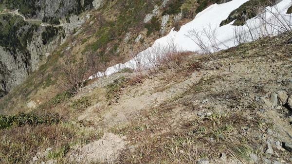 Kayıp gazeteciyi arama çalışmalarında bir ilk kullanılacak 6