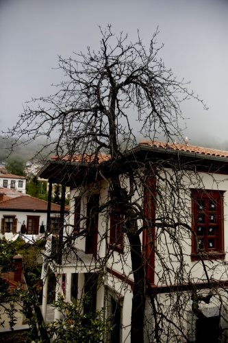 Giresun’da fındık karşılığında kurulan semt! 7