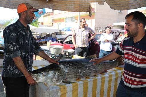 Gören inanamadı! 2 saat uğraşıp yakaladı 5