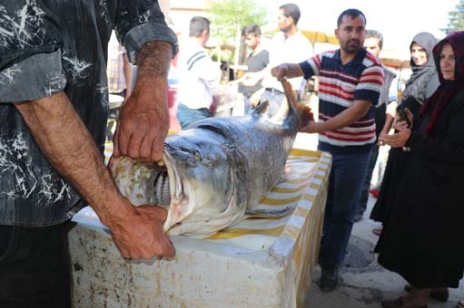 Gören inanamadı! 2 saat uğraşıp yakaladı 4