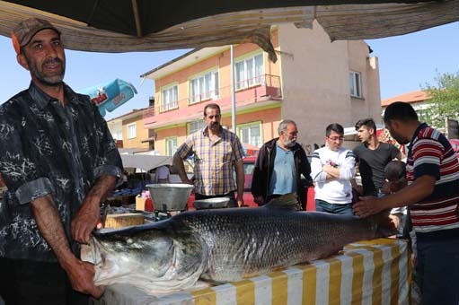 Gören inanamadı! 2 saat uğraşıp yakaladı 8