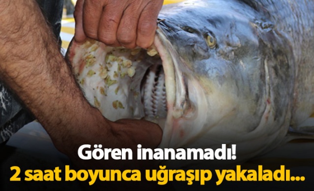 Gören inanamadı! 2 saat uğraşıp yakaladı 1