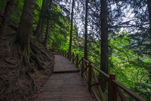 Sümela Manastırı'nda 200 metre dik yamaçta tek tek temizlediler 14