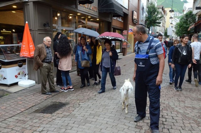 Çalışmaya bile onunla gidiyor 11