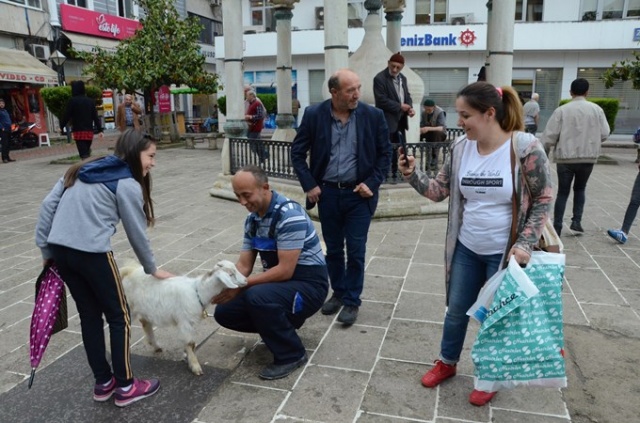 Çalışmaya bile onunla gidiyor 7