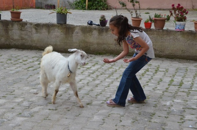 Çalışmaya bile onunla gidiyor 8