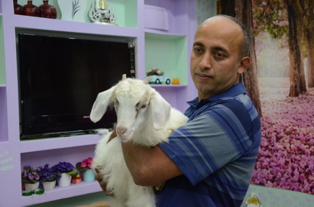 Çalışmaya bile onunla gidiyor 5