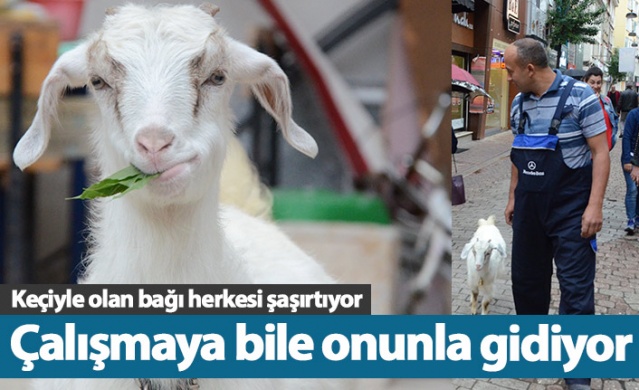 Çalışmaya bile onunla gidiyor 1