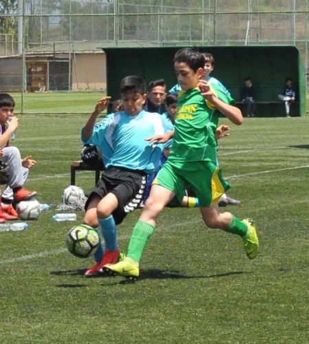 Şampiyon Bener Cordan 11