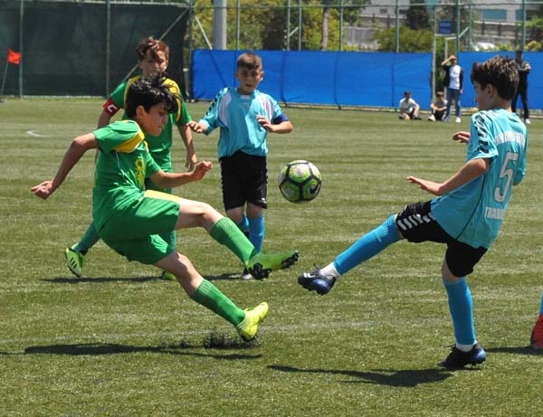 Şampiyon Bener Cordan 9