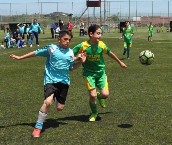 Şampiyon Bener Cordan 8