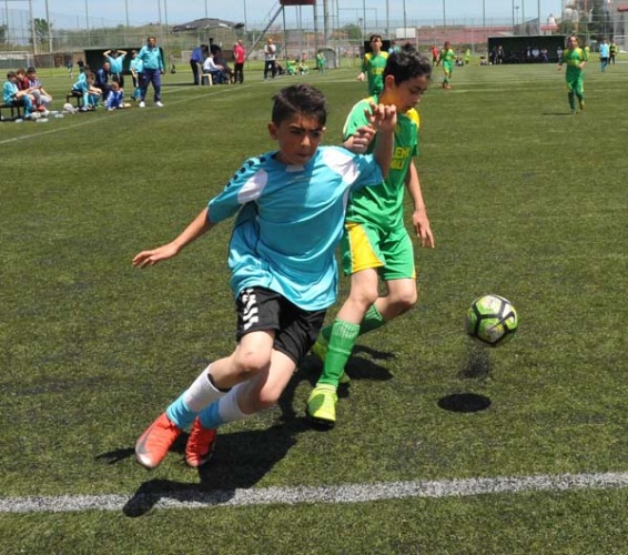 Şampiyon Bener Cordan 10