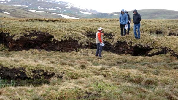 Türkiye'nin en büyük turba bataklığı koruma altına alındı 10