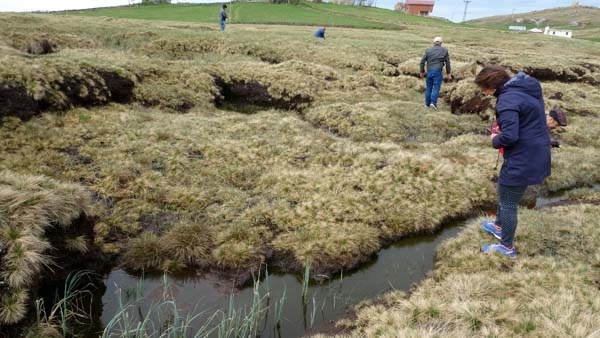 Türkiye'nin en büyük turba bataklığı koruma altına alındı 12