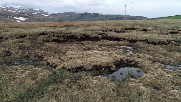 Türkiye'nin en büyük turba bataklığı koruma altına alındı 16