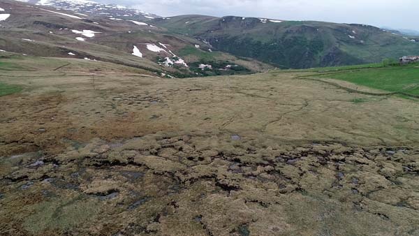 Türkiye'nin en büyük turba bataklığı koruma altına alındı 6