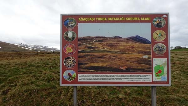 Türkiye'nin en büyük turba bataklığı koruma altına alındı 3