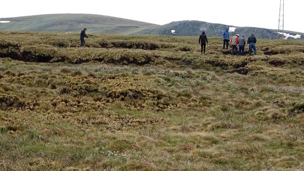 Türkiye'nin en büyük turba bataklığı koruma altına alındı 8