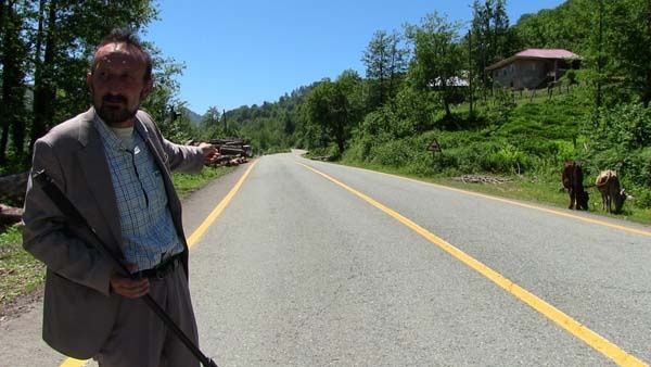 Tünel yapılınca eski karayolu hayvanlara kaldı 2