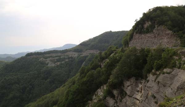 Tünel yapılınca eski karayolu hayvanlara kaldı 4