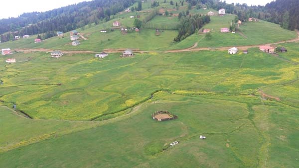 Mor Yayla bu sefer sarıya büründü 6
