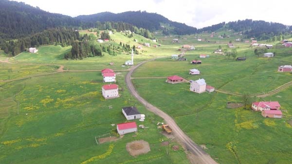 Mor Yayla bu sefer sarıya büründü 2