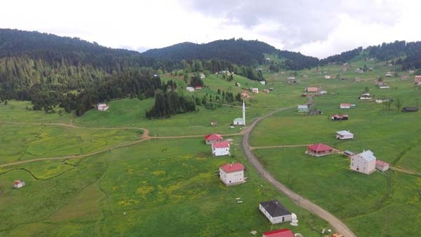 Mor Yayla bu sefer sarıya büründü 10
