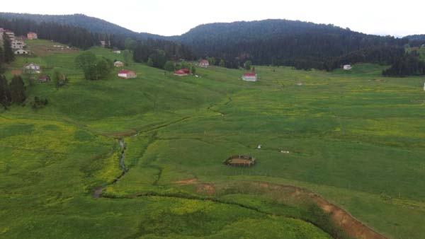 Mor Yayla bu sefer sarıya büründü 5