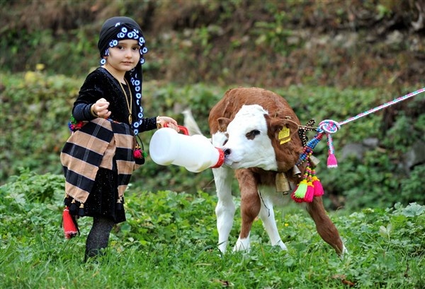 Karadeniz Yaylaları çocuklarla şenlendi 6