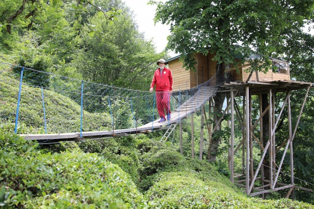 Artvin’de o ev kendine hayran bıraktı 15