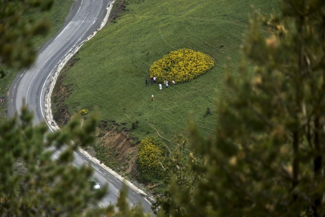 Zigana Dağı'nda renk cümbüşü 2