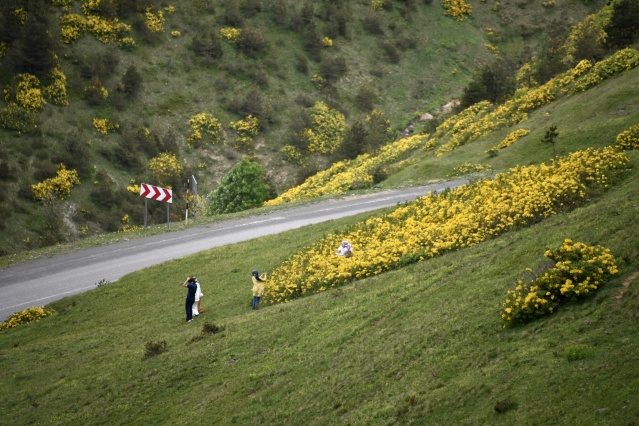 Zigana Dağı'nda renk cümbüşü 3