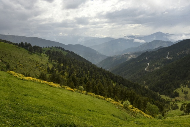 Zigana Dağı'nda renk cümbüşü 4