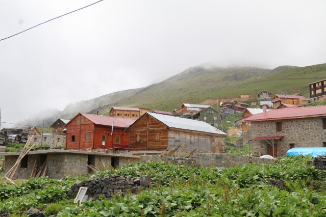 Güzelliği ile büyüleyen Gito Yaylası hayran bırakıyor 11