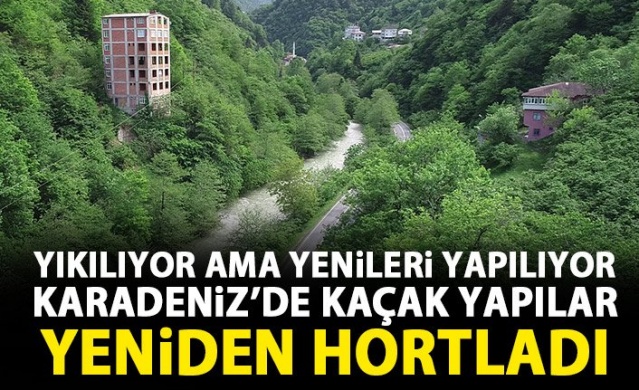 Karadeniz yaylalarında yeni kaçak yapılar yükseliyor! 1