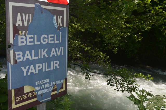 "Uzungöl'de balık tutarken ölebilirsiniz" eylemi 15