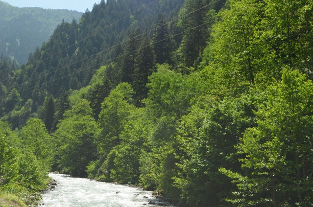 "Uzungöl'de balık tutarken ölebilirsiniz" eylemi 20