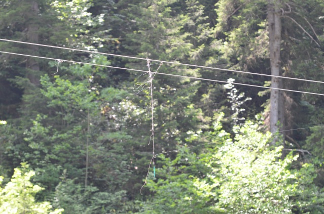 "Uzungöl'de balık tutarken ölebilirsiniz" eylemi 16