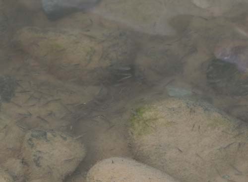 Derenin yönü değiştirilince ölüme terk edildiler! 3