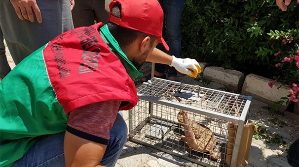 Bahçesinden canavar çıktı! 5